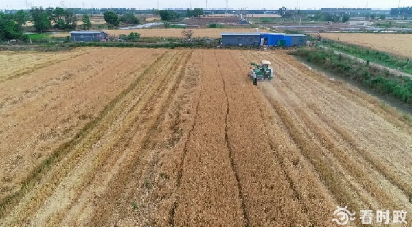 米乐M6网站协调种粮培植粮食坐蓐新动能