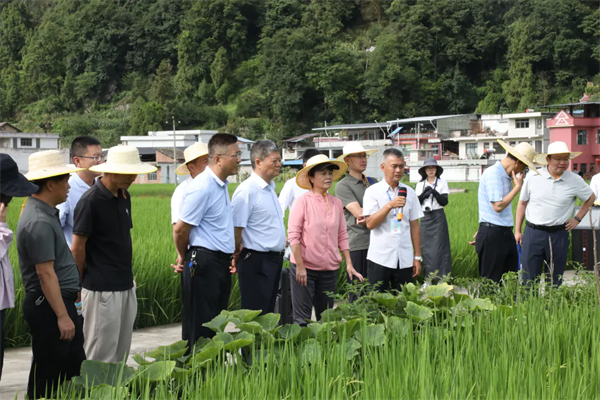 米乐M6网站全省粮食及紧急经济作物病虫害绿色防控与统防统治推动会正在都匀召开(图6)