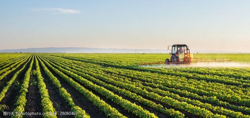 米乐M6网站辽宁三大粮食作物齐备本钱保障和种植收入保障周全奉行