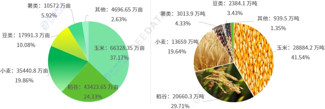 米乐M62023年中邦稻谷种植434亿亩、占粮食种植面积的2433%(图1)